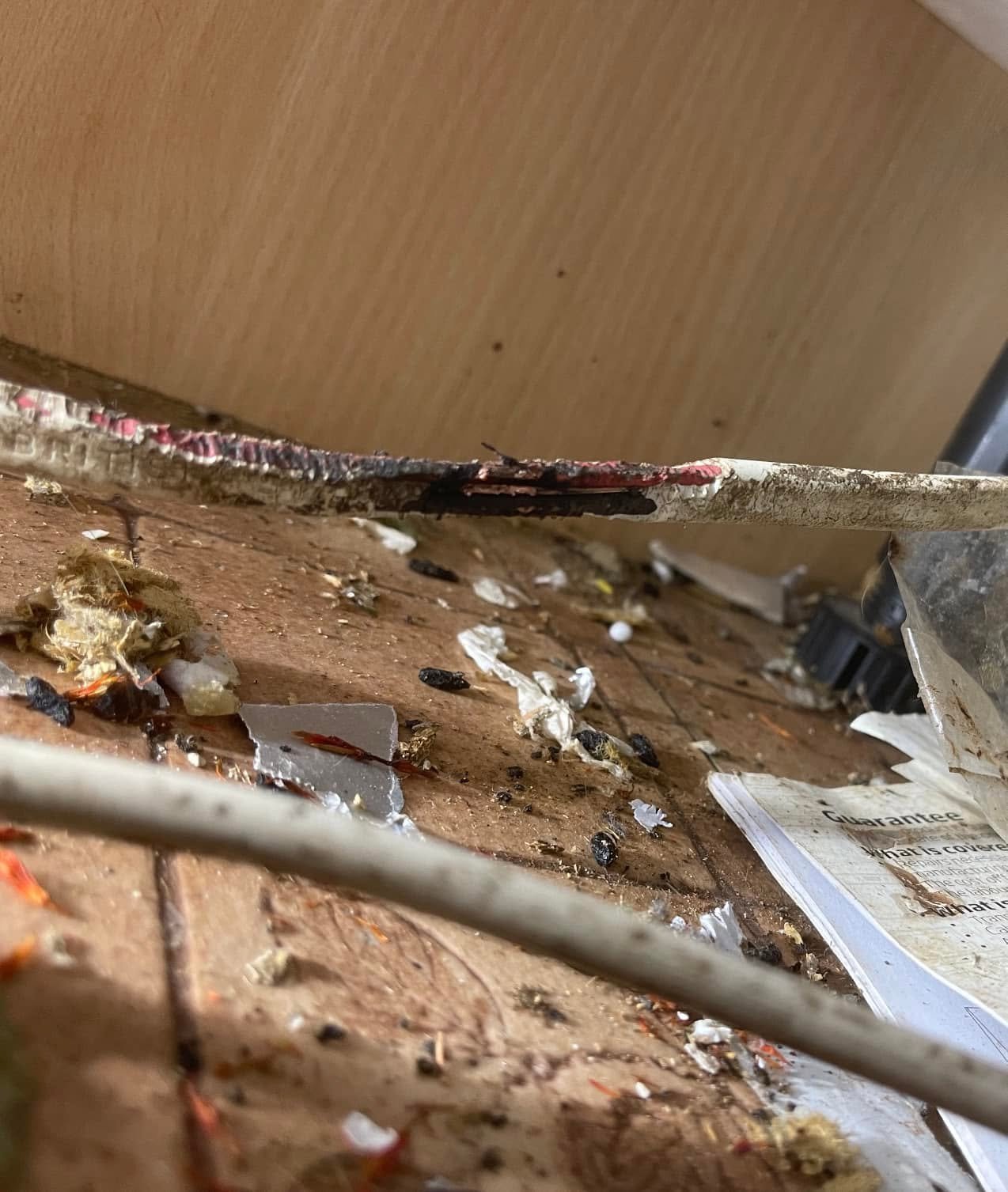 Fault Finding electrician at work
